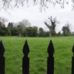 A green field on an overcast day, with trees and hedges at the back. Bare twigs from a tree overhang the top of the photo. Four metal fence posts are in the foreground.