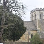 A church of light stone, with a squat tower, next to two large trees (one evergreen, one deciduous and bare).