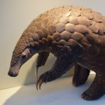 A taxidermied pangolin, raised onto its hind legs, stands on a white shelf against a white background.