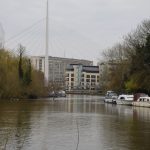 Looking down a river, the tower and guy wires of a cable-stayed bridge are visible. The bridge deck is barely visible, being partly obscured by trees and set against office blocks.