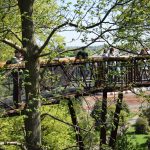 A metal walkway at tree-height, passing through a wooded area. The metal walkway has a mesh floor, and is held up by three-armed pylons. The metal is rust-coloured. The view is from deck height, and people can be seen on the walkway; there is a greenhouse in the background.