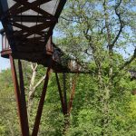 A metal walkway at tree-height, passing through a wooded area. The metal walkway has a mesh floor, and is held up by three-armed pylons. The metal is rust-coloured. The view is from just below the deck.