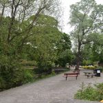 A paved garden, with low shrubs to the right of the paved area and a watercourse with trees to the left. The paved area contains four benches and a recycling bin. There are no people in the garden.