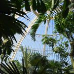 Tropical plants, such as palm trees, are seen against a dome-shaped glass roof.