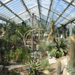 A hipped-roof conservatory, containing various desert plants (like cacti) underneath it.