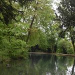 A canal-like watercourse, with path to its right, leads away from the camera, curving around to the left. The banks are thick with leafy trees, such that the sky is barely visible, except where a white patch of light is reflected in the water.