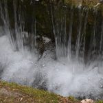 Water flows off a ledge into a narrow pool, where it froths and bubbles.
