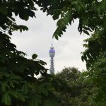 The BT Tower viewed through a gap in tree leaves against a cloudy sky.