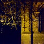 The end of a floodlit church building, with just one arched window visible. Overhanging is a tree, which appears bright against the dark sky but dark against the church.