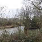 A murky river forks either side of an island. The surrounding area (both banks, and the island) consists of scrubby undeveloped land, with bare trees and parched grass.