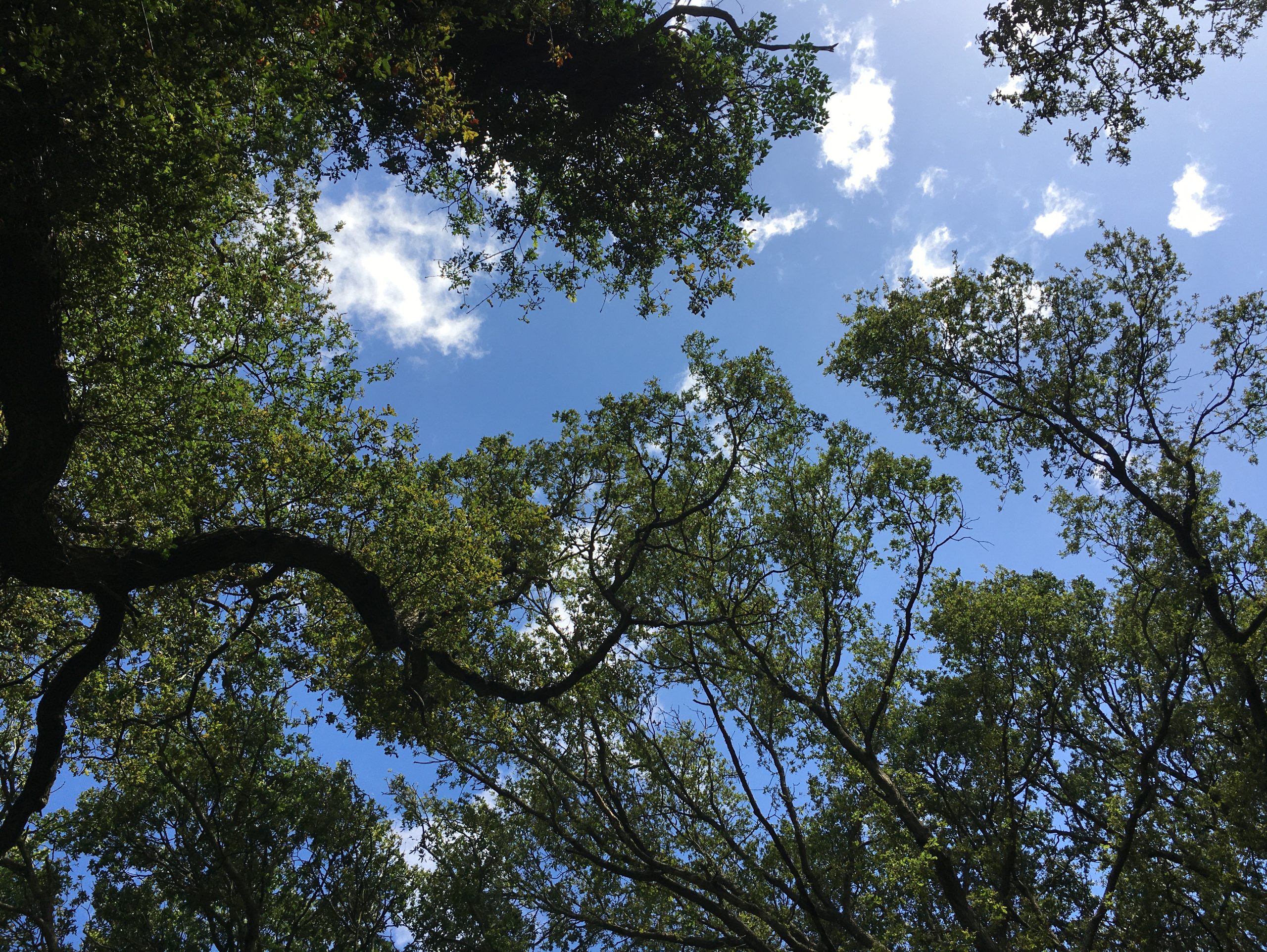 Shotover Country Park