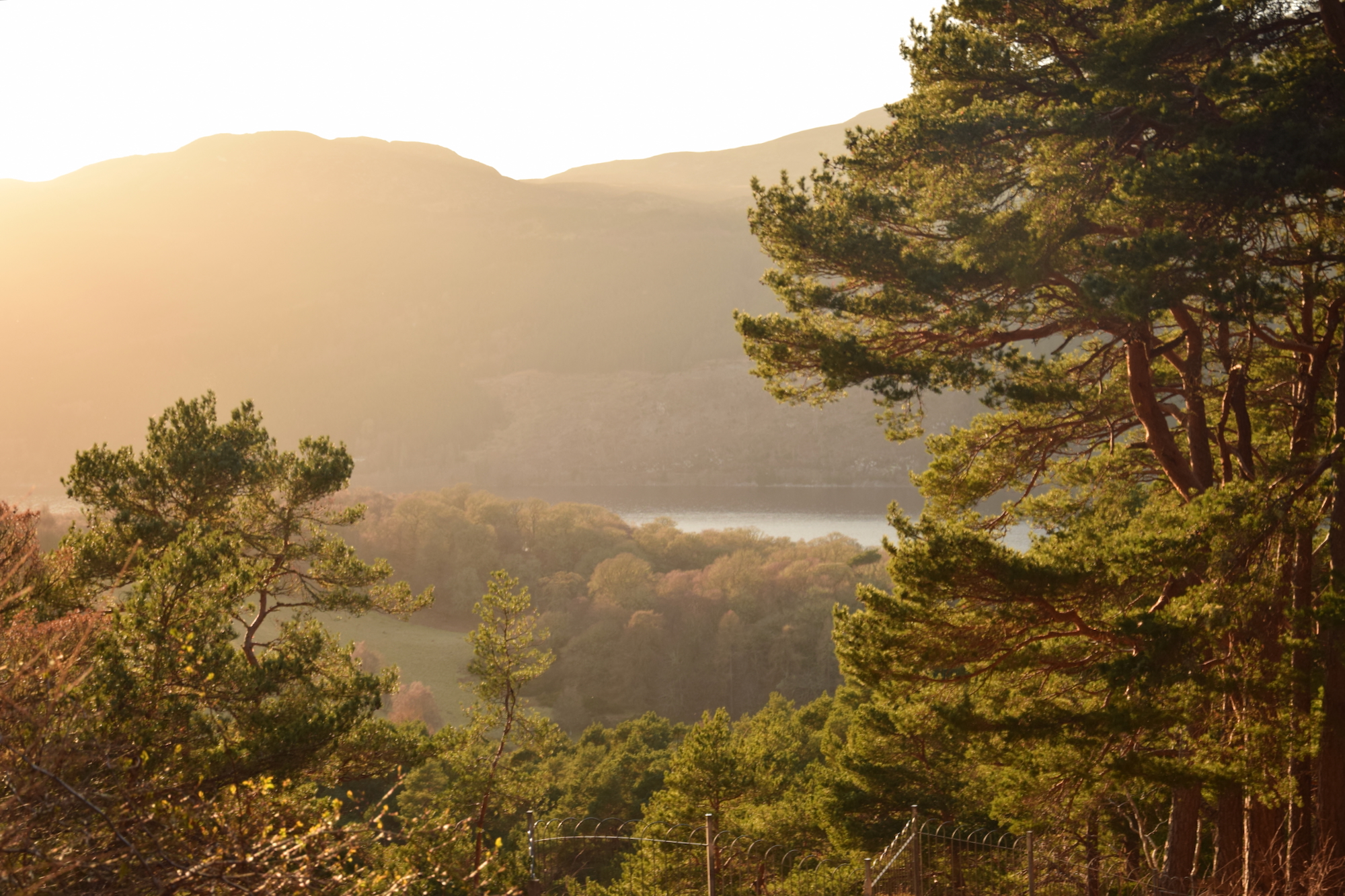 A view over a from a hillside towards steep hills on the other side of a loch. The photo is taken in "golden hour", so there's an orange tone to the image, and glare from the sun washes out some of the far hill, obscuring its features. Near the camera are leafy trees framing the view, behind which the ground drops off sharply towards a field; trees then line the bank of the loch.