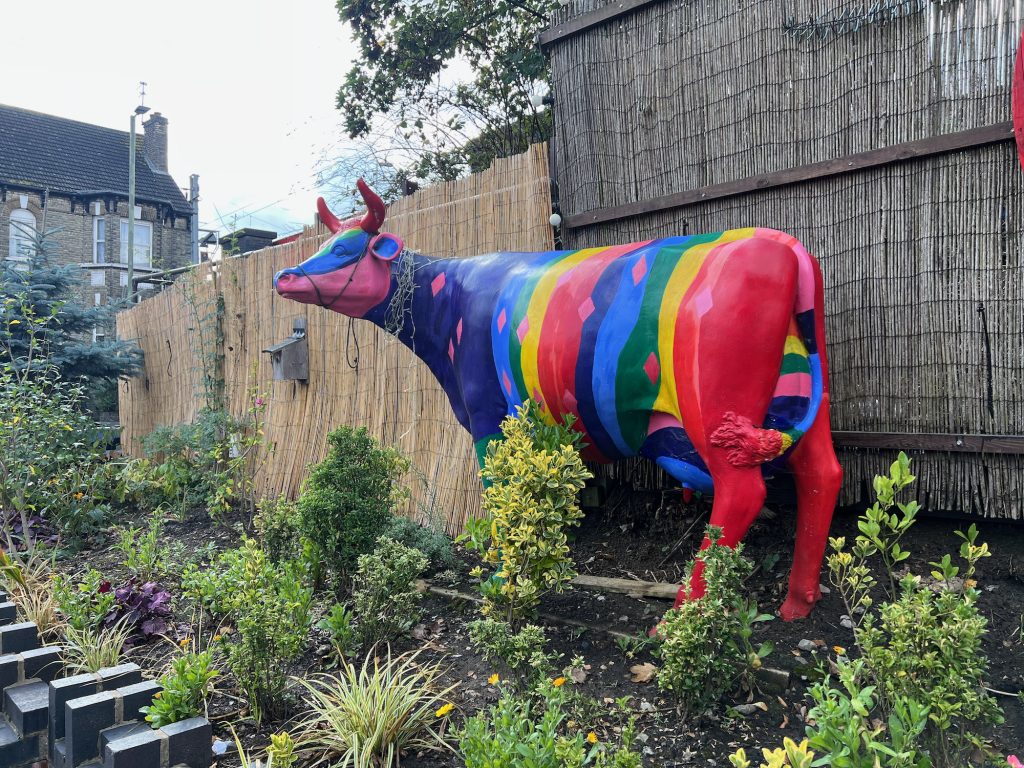 A small garden in an urban area, dominated by a life-size sculpture of a cow. The cow is painted with rainbow stripes, speckled with pink diamonds. Some fairly lights (unlit) are draped onver the cow's head, and then wrapped many times around its neck. The cow stands on soil, slightly elevated above the leafy plants that form the rest of the bed's contents. The back wall of the garden is a fence made of closely-spaced sticks tied together; the front of the garden is a low wall of blue brick, arranged in an undulating pattern. At the back-left is a Victorian-looking yellow-brick house. They sky is grey.