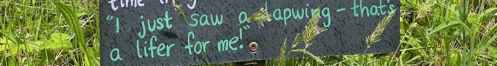 A crop of the previous image of a blackboard, to show the words "'I just saw a lapwing—that's a lifer for me!'"