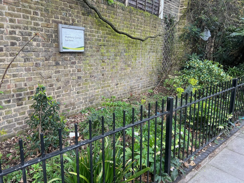 The wall from the previous image, showing the sign, now seen at an angle. A black fence, about a metre high, is almost parallel to the wall, being somewhat closer to it at the front than at the back. Between the two are a variety of uninspiring plants, with dead leaves covering the ground between them. A McDonald's cup, complete with straw, lies abandoned close to the sign, and a plastic bag is caught in a tree to the rear.